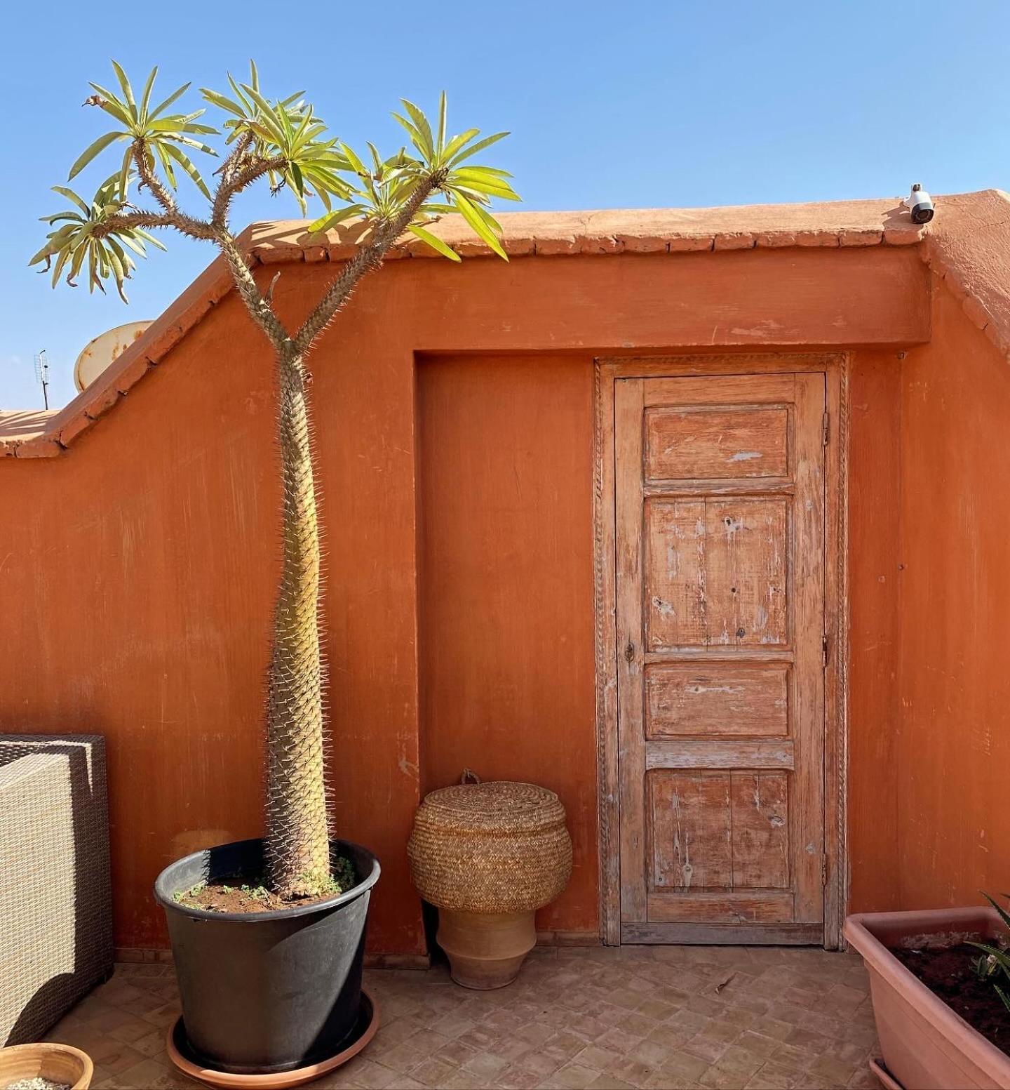 Riad Rossi Marrakesh Ngoại thất bức ảnh